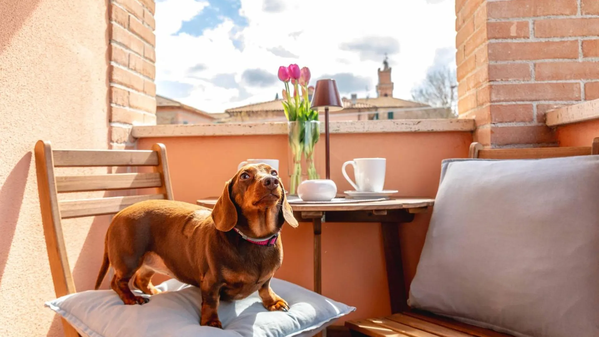 Casa Cardinali Hotel Pienza Guest house